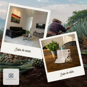 a collage of three pictures of a living room at Casa Morelos Tekilán in Tequila