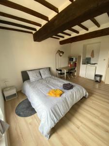 a bedroom with a large bed with a table at Charmant studio à Viens in Viens