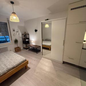 a bedroom with a bed and a large mirror at Appt Lausanne Gare - Totti in Lausanne