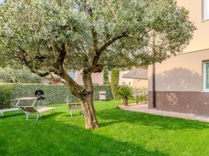 a tree in a yard with a bench at Apartment Garda Oasis by Interhome in Riva del Garda