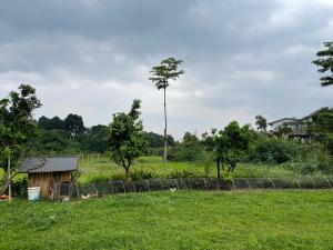 a small house in a field with a tree at emoi valley bavi in Ba Vì