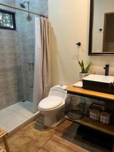 a bathroom with a toilet and a shower and a sink at Cabañas y Senderos Finca El Triunfo in Los Chiles +117 photos