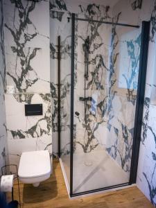a bathroom with a shower and a toilet at Ostoja Urnica in Falsztyn +15 photos