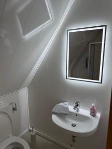 a bathroom with a sink and a mirror and a toilet at Ankerplatz Drakenburgi in Drakenburg