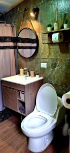 a bathroom with a toilet and a sink at Cabaña Los Carpinteros in Cochrane