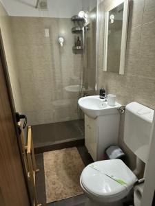 a bathroom with a toilet and a sink and a shower at Astra Residence Ultracentral in Ploieşti