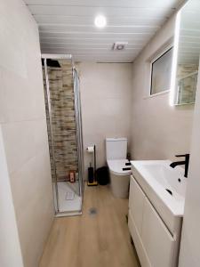 a bathroom with a shower and a toilet and a sink at Cantinho do Corgo in Vila Real