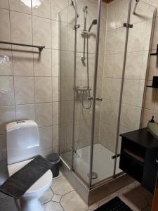 a bathroom with a shower and a toilet and a sink at Ferienwohnung“puutalossa“ in Sehlen