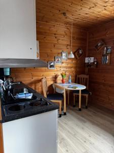 a kitchen with a stove and a table in a room at Ferienwohnung“puutalossa“ in Sehlen