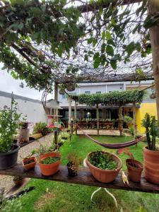 a garden with potted plants on a table at Suíte Big Família - Queens Hotel in Formosa