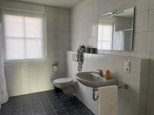 a bathroom with a sink and a toilet and a mirror at Landidyll Georg in Ostbevern +7 photos