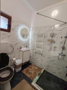 a bathroom with a toilet and a glass shower at Fabrizio house in Timişoara +41 photos