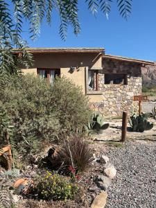 a small stone house with a garden in front of it at Cabañas La Nochera in Tilcara