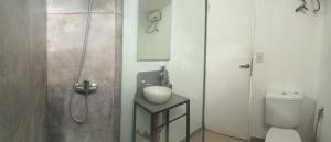 a bathroom with a shower with a toilet and a sink at DEPARTAMENTO moderno en Martinez cerca de clinicas y oficinas con WIFI y AA ideal para parejas y o viajes de trabajo in Martínez