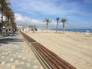 un banco en una playa con palmeras y el océano en Precious Apartment in Alicante, Playa San Juan, en Alicante