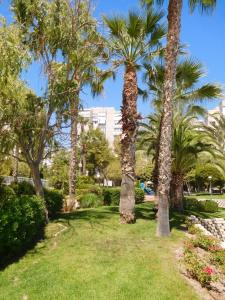 un parque con palmeras y un edificio al fondo en Precious Apartment in Alicante, Playa San Juan, en Alicante