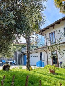 a house with a palm tree in the yard at La Casa del Merlo in Rodello
