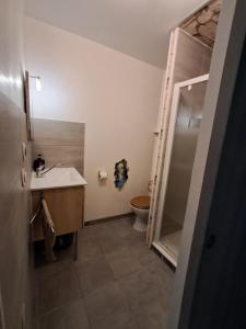 a bathroom with a toilet and a sink and a mirror at Locmeze in Mèze