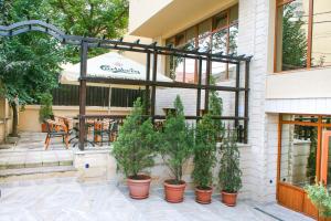 a patio with potted plants in front of a restaurant at Hotel Rao in Cluj-Napoca