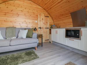 a living room with a couch and a tv at Lili Wen Fach in Ruthin