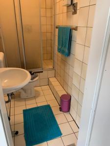 a bathroom with a sink and a shower and a toilet at Studio 29 in Oberhausen +11 photos