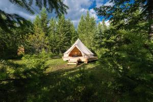 a tent in the middle of a field with trees at Goonieland Backcountry Sauna & Stays in Golden +53 photos