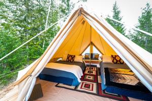 a tent with two beds in it in the woods at Goonieland Backcountry Sauna & Stays in Golden