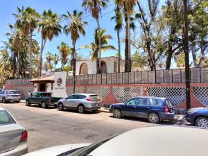 a group of cars parked in a parking lot with palm trees at Sandy Shores Cabaña 8 in La Paz +22 photos