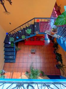 a room with a staircase with a couch and potted plants at Casa Josvic in San Cristóbal de Las Casas