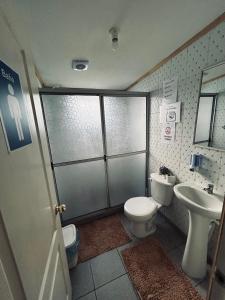 a bathroom with a toilet and a sink at Ruta Pata Austral in Puerto Varas +21 photos