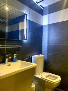 a bathroom with a white toilet and a sink at Hotel Le Terminus in Mons
