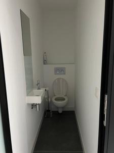 a bathroom with a toilet and a sink and a mirror at L'Arsenal Loft in Couvin +3 photos
