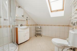 a bathroom with a toilet and a sink at Willa Sarenka in Międzyzdroje +28 photos