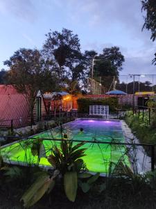 ein Swimmingpool in einem Garten mit Grün in der Unterkunft Ecohotel Java in Manizales