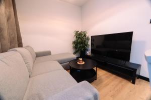a living room with a couch and a flat screen tv at ApartHouse in Klimontów