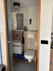 a small bathroom with a toilet and a sink at Trinity in Balatonalmádi