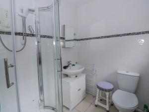 a bathroom with a toilet and a sink and a shower at Yr Hen Ysgoldy in Machynlleth +24 photos