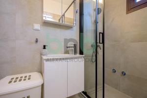 a bathroom with a shower and a toilet and a sink at Elaion House in Agia Paraskevi +105 photos