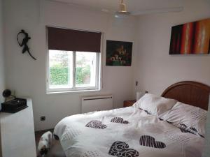 a bedroom with a bed with a dog standing next to it at Montepino in Maello +45 photos