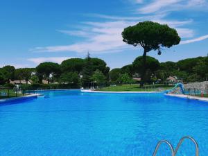 a large blue swimming pool with a tree in the background at Montepino in Maello