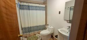 a bathroom with a toilet and a sink at Casa Ika Moana in Hanga Roa +10 photos