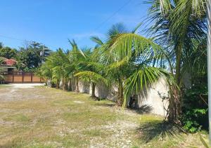 a row of palm trees next to a wall at Estellie Resthouse in Maya