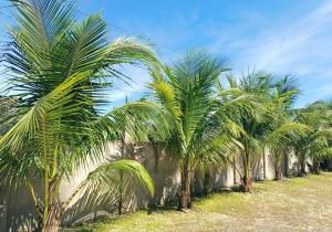 a row of palm trees next to a wall at Estellie Resthouse in Maya