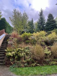 a garden with a bunch of plants on the stairs at Gästewohnung Mable in Greiz