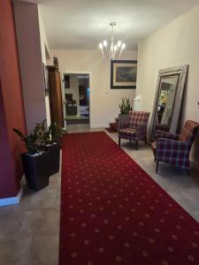 a living room with a red carpet and chairs at Parkhotel Cochem- Free Parking - in Cochem