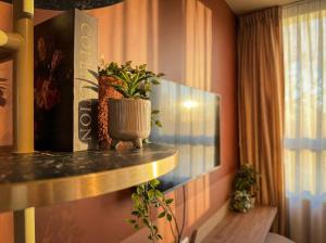 a room with a potted plant on a shelf at De Pijp Hotel in Amsterdam