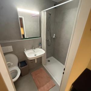 a bathroom with a sink and a toilet and a shower at Appt Lausanne Gare - Totti in Lausanne