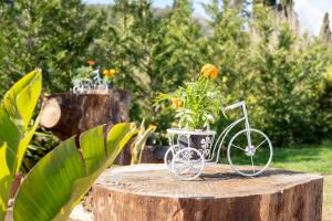 a bike with flowers on it sitting on a stump at Villa Renata in Kontokali