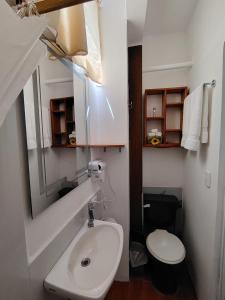 a bathroom with a white sink and a toilet at Galápagos Finch Apartment in Puerto Ayora