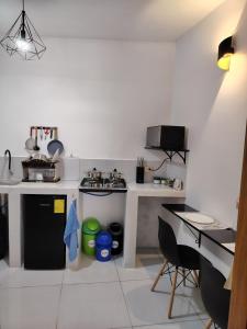 a small kitchen with a stove and a sink at Galápagos Finch Apartment in Puerto Ayora